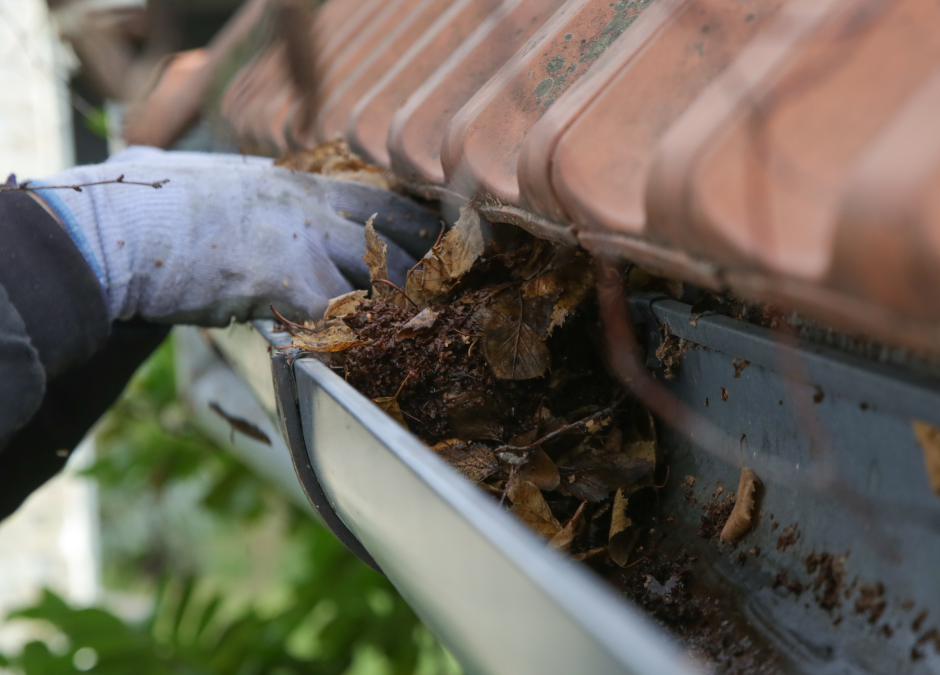 Gray rain gutter full of leaves and dirty in need of gutter maintenance