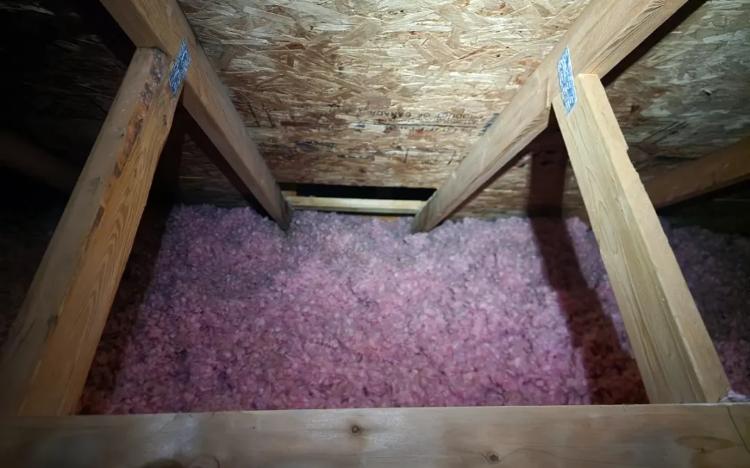 Spring Showers Mold Growth: Protect Your Home’s Air
