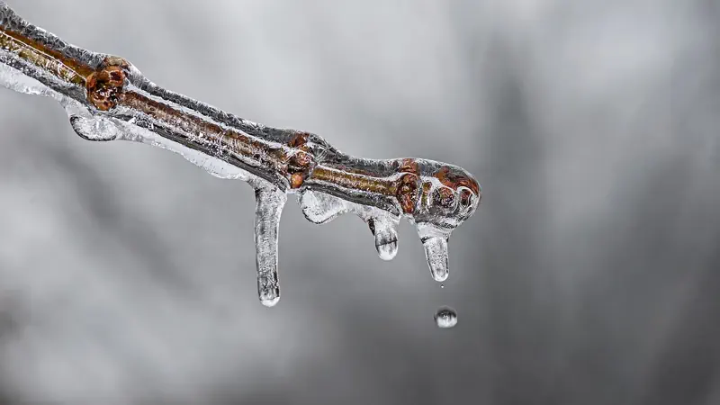 spring thaw water damage Colorado Springs