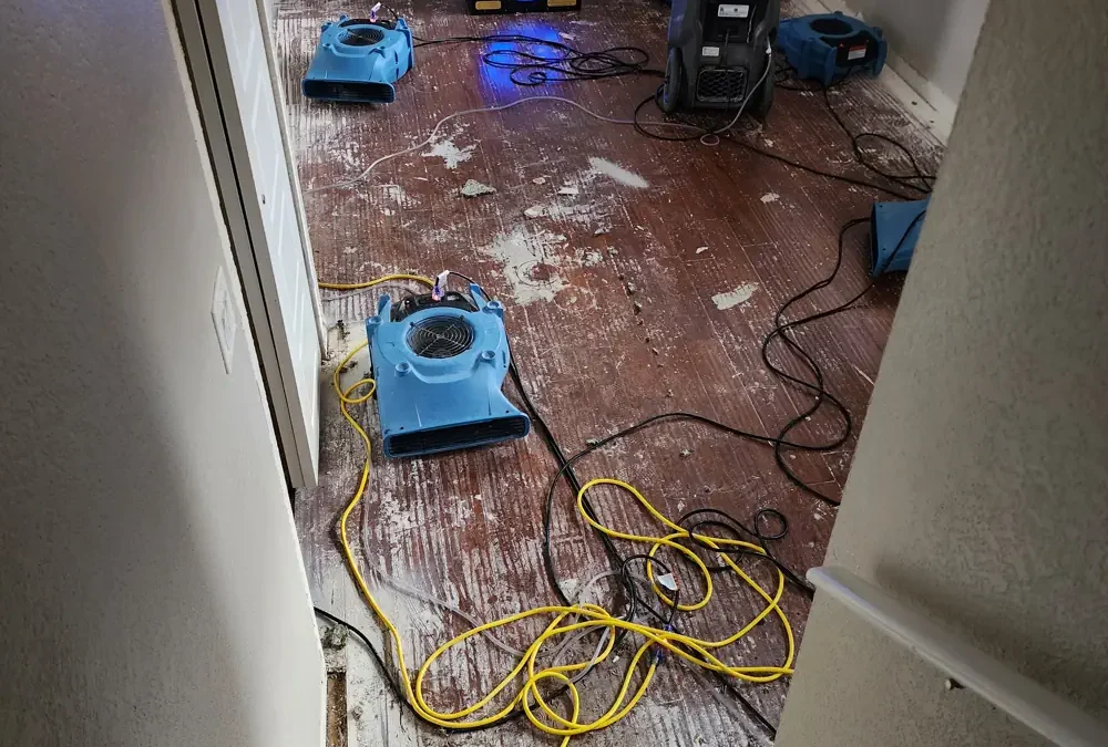 Water Damage Restoration: Essential Steps for Homeowners